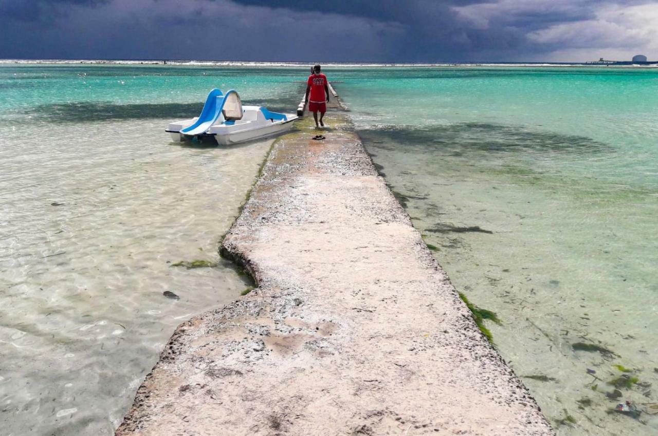 Parco Del Caribe Lägenhet Boca Chica Exteriör bild